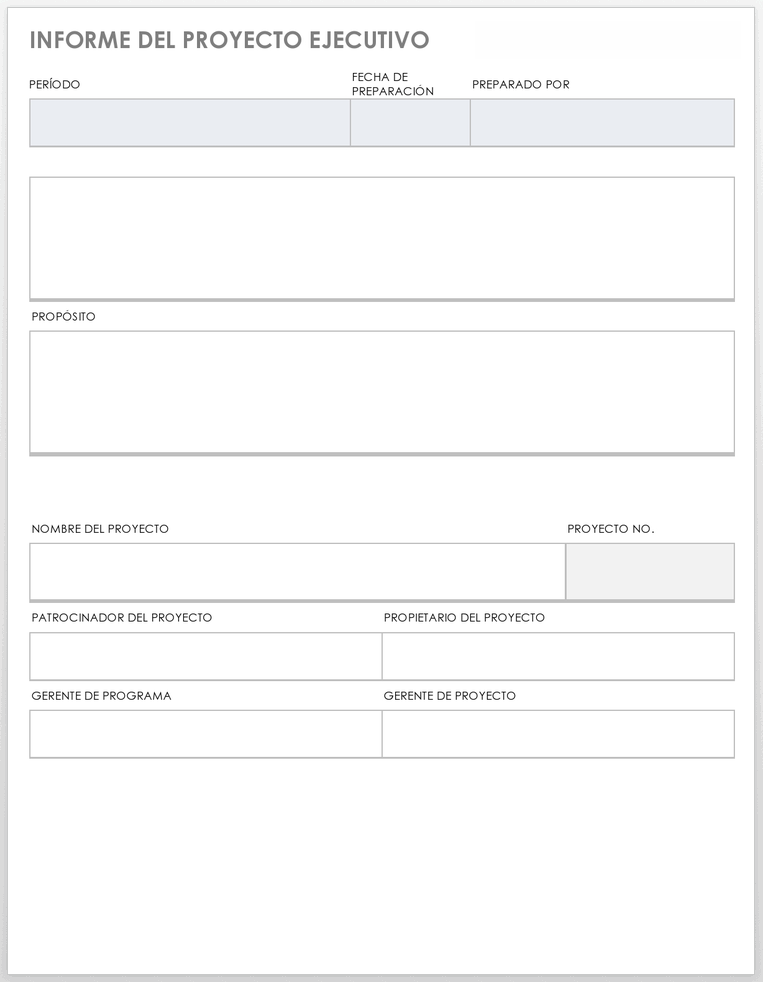 PLANTILLA DE INFORME DE PROYECTO EJECUTIVO